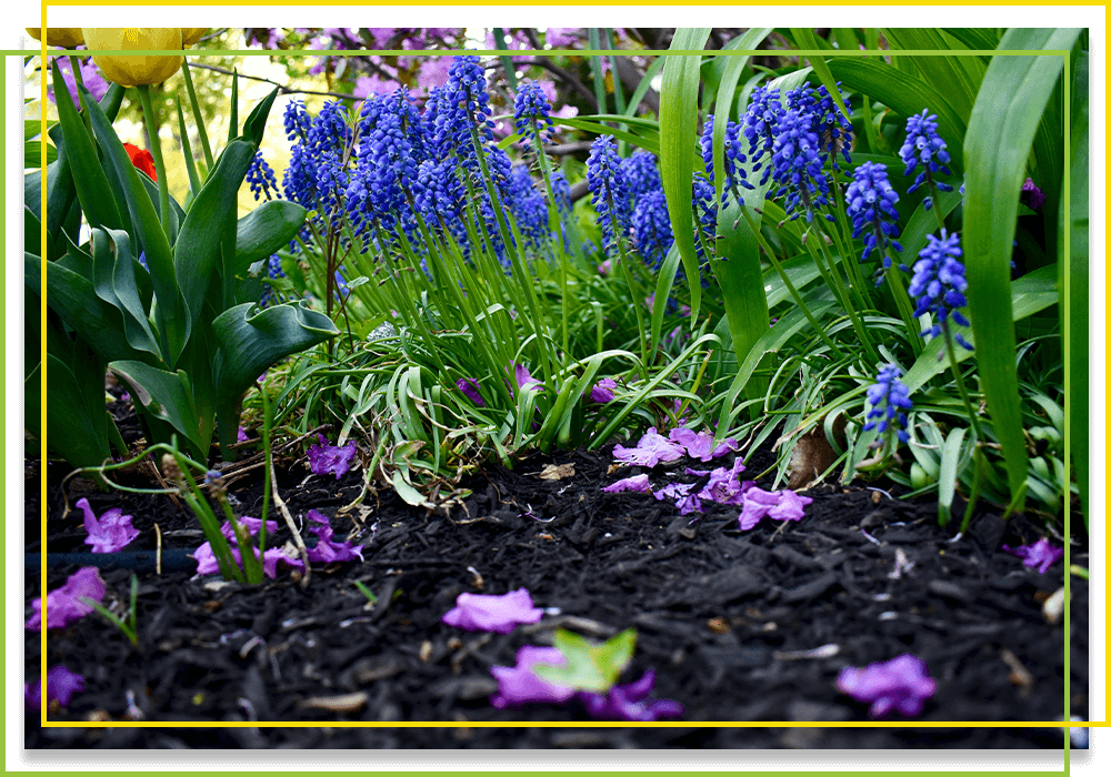 Mulch Sales & Installation Charlotte Get A Free Estimate 4th